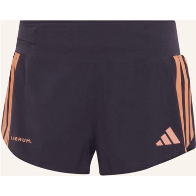 Adidas Adidas Running X Labrum Shorts lila