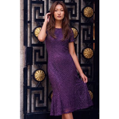 Sparkle Lace Flute Hem Dress Sparkle Lace Flute Hem Dress