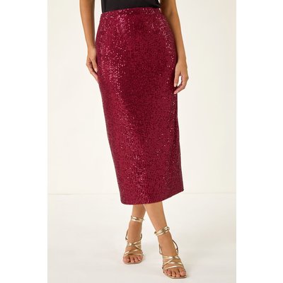 Sequin Pencil Skirt Sequin Pencil Skirt