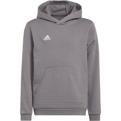 Entrada 22 Sweat Hoodie