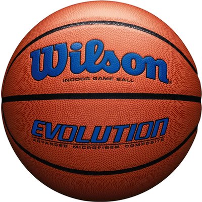 Basketball Wilson Evolution 295