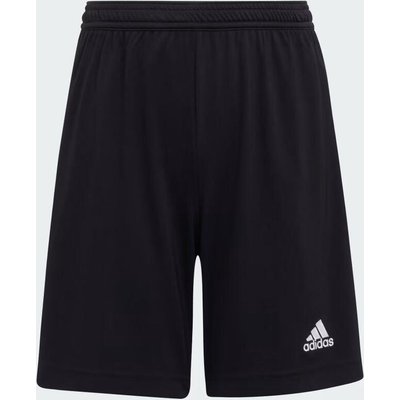 adidas Kinder Short Entrada 22 Shorts