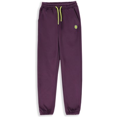 Kinder Trainingshose warm ZL4 violett
