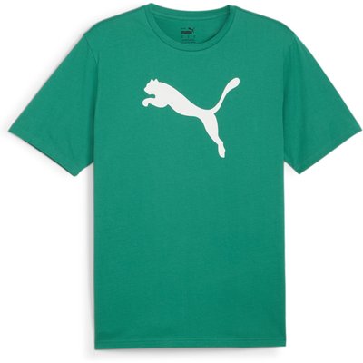 Puma Herren T-Shirt teamRISE Logo Jersey Cotton 658705