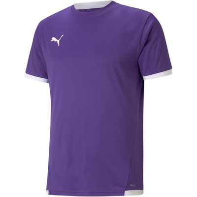 Puma Kinder Trikots teamLIGA Jersey Jr 704925