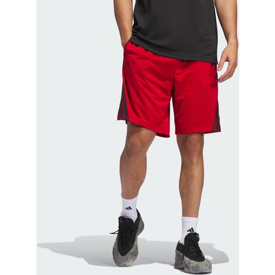 Legends 3-Streifen Basketball Shorts