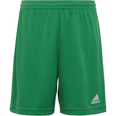 adidas Kinder Short Entrada 22 Shorts