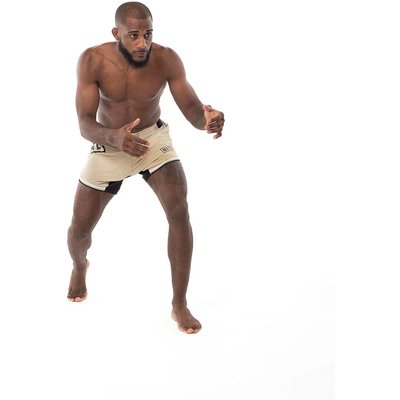 MMA Shorts Metal Boxe Desert Storm XL