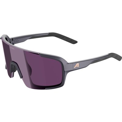 Sonnenbrille Alpina Lumin