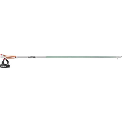 Nordic Walking-Stock Passion