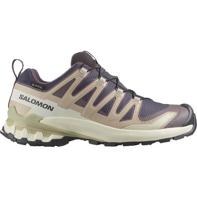 Damen Trailrunning Schuhe XA PRO 3D V9 GORE-TEX