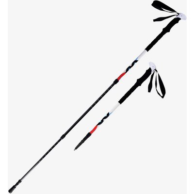 Trekking Stöcke Carbon