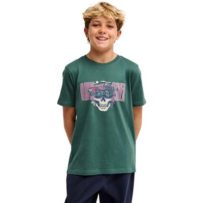 T-Shirt PARADISE POINT Y Grün Junge