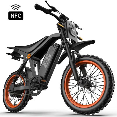 Herren - city - elektrofahrrad - 48v 20ah herausnehmbar - e5 - schwarz