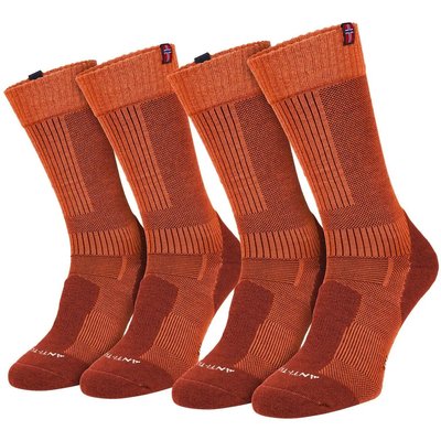 Damen Herren Wandersocken Trekkingsocken Merino gepolstert wadenhoch 2er Pack