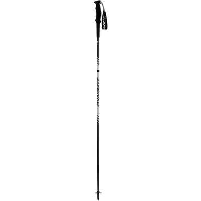 Trail-Stock Dynafit Alpine Pro