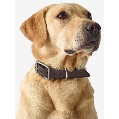 Hundehalsband 900 Leder