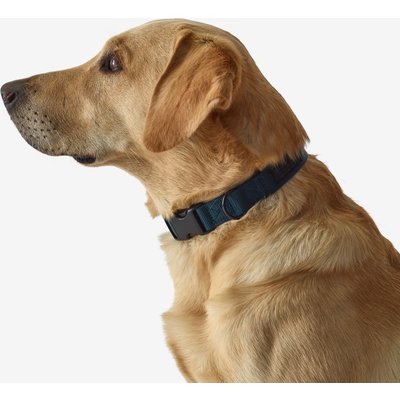 Hundehalsband 100 blau