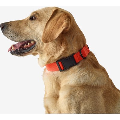 Hundehalsband 100 orange