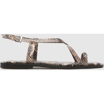 schuh Taran Metal Toeloop in Stone & Black