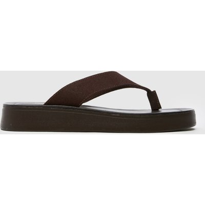 schuh Tanisha Toe Post in Brown