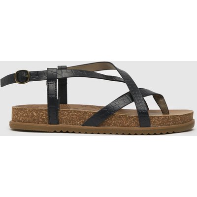 Blowfish Malibu Foxtail-B in Black