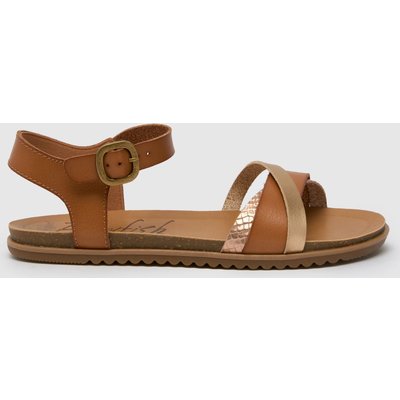 Blowfish Malibu Monti in Brown Multi