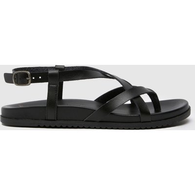 Blowfish Malibu Camden in Black