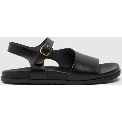 Blowfish Malibu Crsien-B in Black