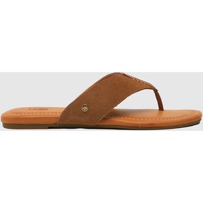 UGG Carey Flip Flop in Chestnut