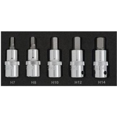 Blue Spot Tools 5 Piece 1/2" Drive Hex Bit Set (H7-H14) in EVA Foam Module