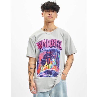 Mister Tee Wonderful