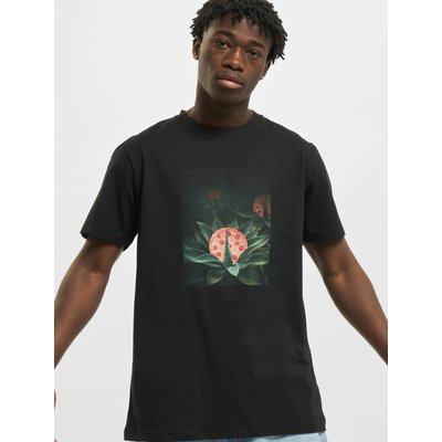 Mister Tee Pizza Plant
