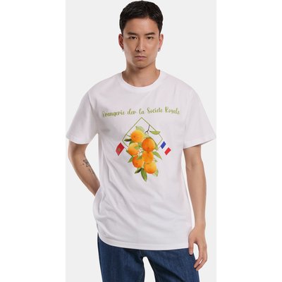 Mister Tee Orangerie