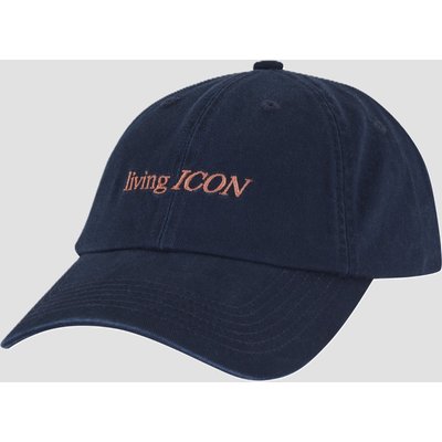 Pica Livin Icon