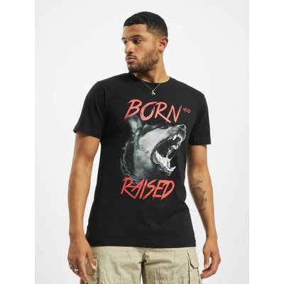 Mister Tee Born & Raised