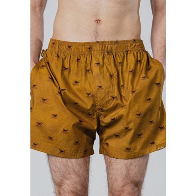 Pockies Beagle Boxers