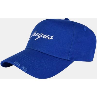 PEQUS Destroyed Logo Cap