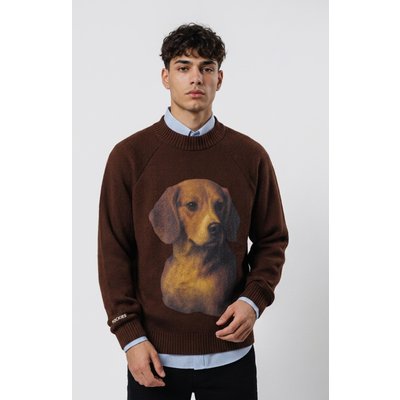 Pockies Beagle Knit