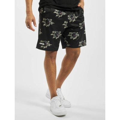 Cayler & Sons WL Whooo Mesh Short