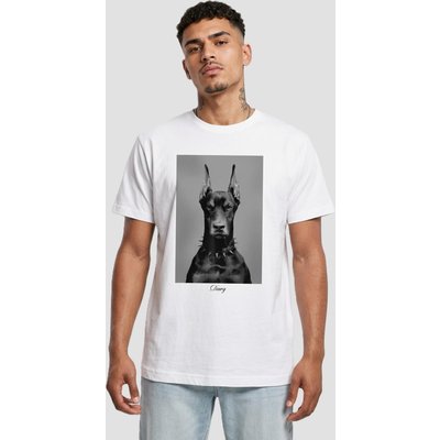 Mister Tee Dawg