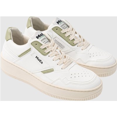 MoEa GEN1 - CACTUS WHITE & ALOE