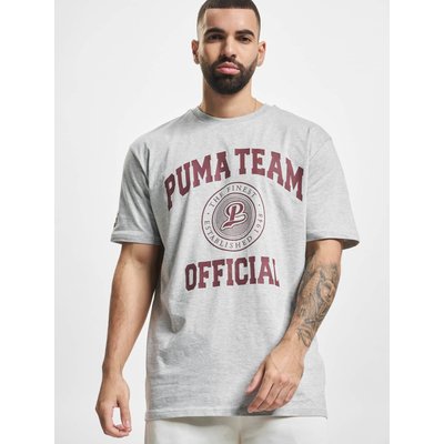 Puma Team Graphic T-Shirt
