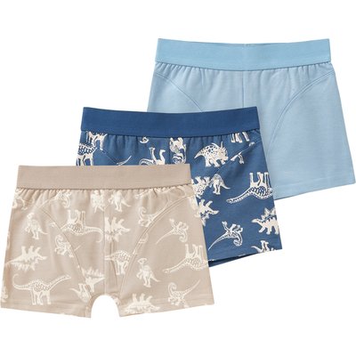 3 Jungen Boxer mit Dino-Motiven