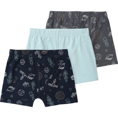 3 Jungen Boxer