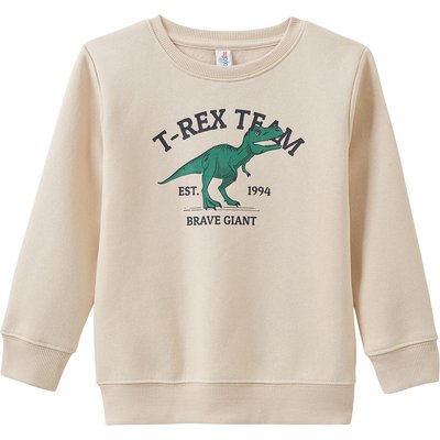 Jungen Sweatshirt mit Dino-Print