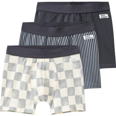 3 Jungen Boxer