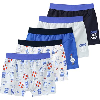 5 Jungen Boxer im Set