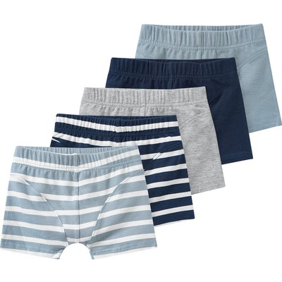 5 Jungen Boxer im Set