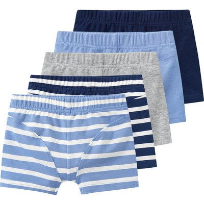 5 Jungen Boxer im Set